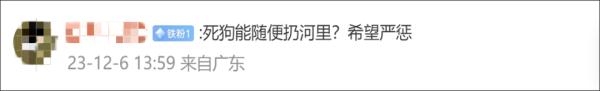 8岁男童被狗扑咬,缝了90多针!狗主人仍未找到 8岁男童被狗扑咬,缝了90多针!狗主人仍未找到