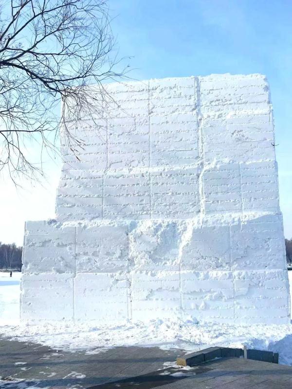 拢共“三大步”!太阳岛雪雕这样诞生 拢共“三大步”!太阳岛雪雕这样诞生