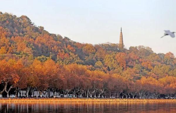 26.2℃，热到破纪录！俯冲式降温这天开启，气温不到0℃