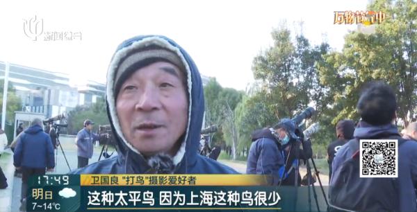 上海近百人在这里"打鸟"？有爷叔兴奋了：目前只有这里！