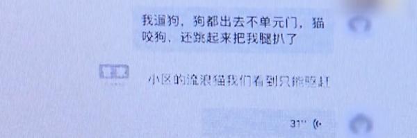 小区内被流浪猫抓伤，物业要不要担责？