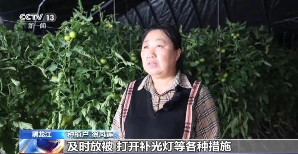 黑龙江多地发布大风、暴雪、寒潮预警！降温幅度可达12℃以上