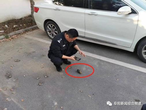 吓人！阜阳一村民挖出一枚手榴弹
