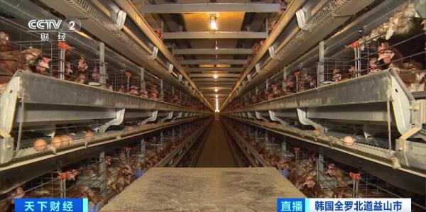 最高级别“警报”！韩国紧急投入900多辆消毒车→