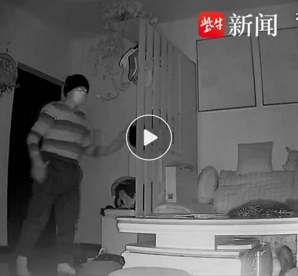 嚣张盗贼“旧地重游”，连续17次入室盗窃终落法网