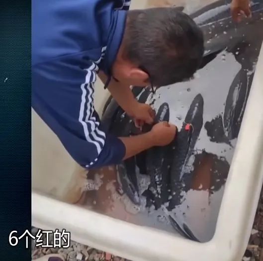 钓友们注意！这样钓鱼会把自己送进拘留所