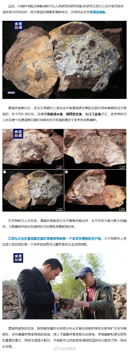 江西一地发现4.38亿年前西域鱼踪迹