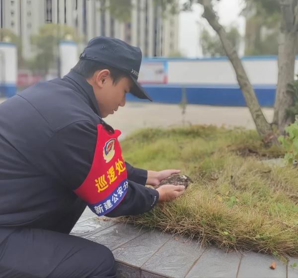 南昌一居民家中惊现“怪鸟”！