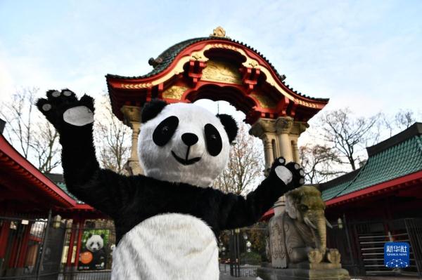 柏林动物园为即将回国的大熊猫双胞胎举办欢送活动