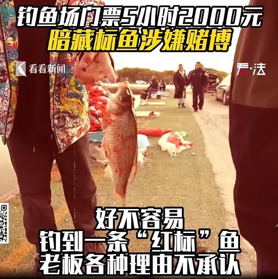 钓友们注意！这样钓鱼会把自己送进拘留所