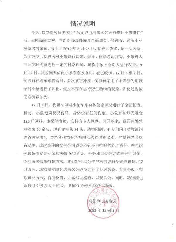 “饲养员多次鞭打小象”,东莞香市动物园回应:行为不当,已批评教育 “饲养员多次鞭打小象”,东莞香市动物园回应:行为不当,已批评教育