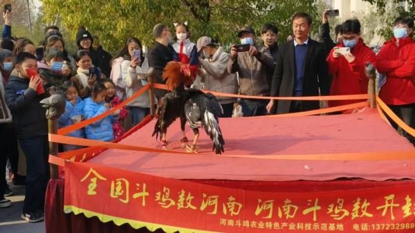 请学生免费吃“全鸡宴”，这个学科成果展示真馋人