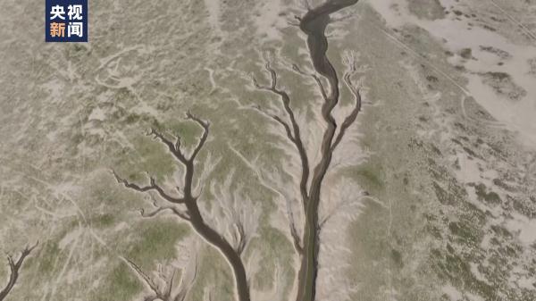 国际可再生能源署总干事：中国在可再生能源领域的成就令人瞩目