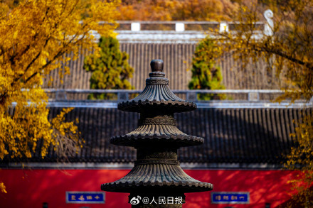美如画！南京栖霞山枫叶红似火