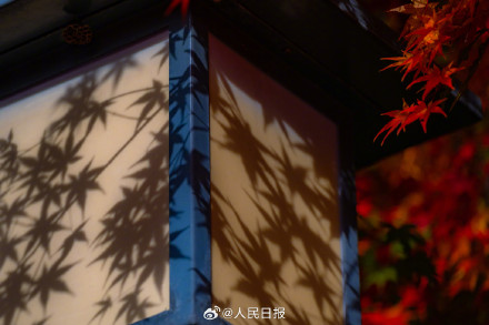 美如画！南京栖霞山枫叶红似火