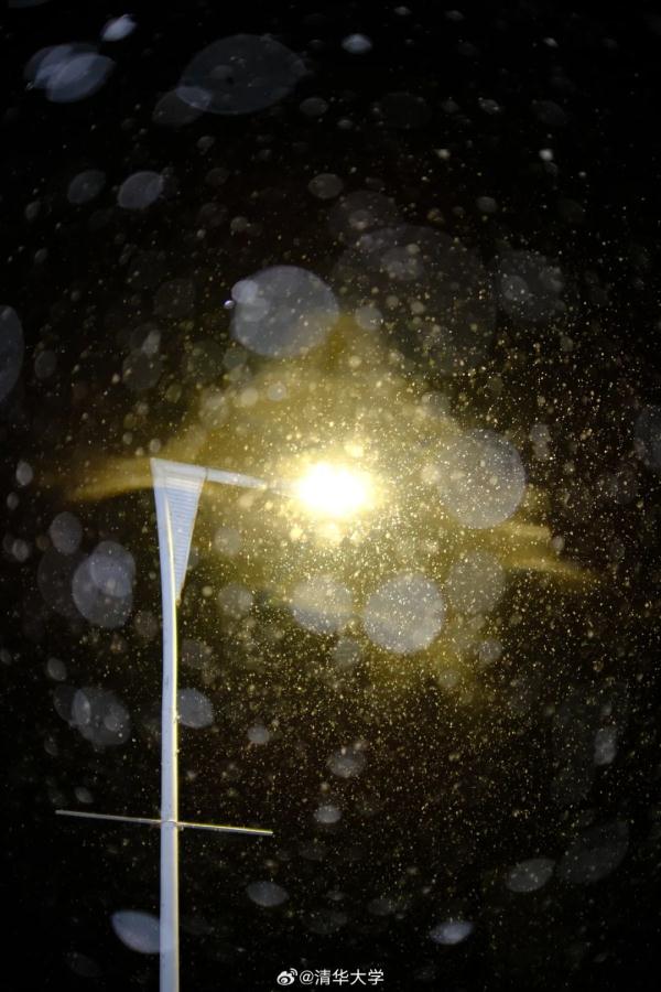 北京，下雪啦！