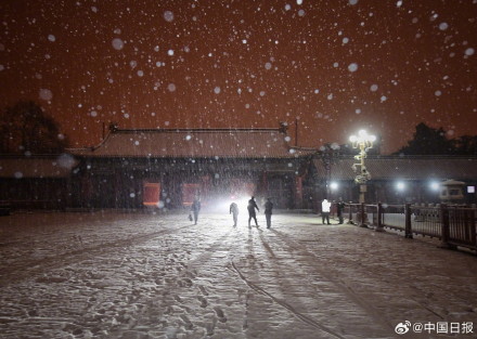 初雪下的故宫雪景
