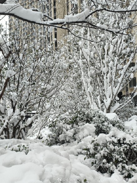 郑州的雪到底有多大