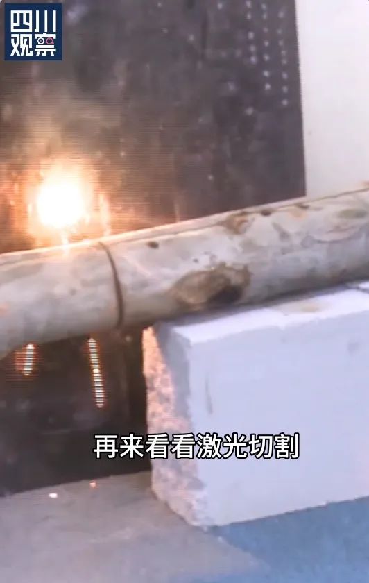 全网关注！研发团队回应“六脉神剑”修剪树枝
