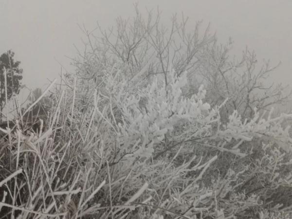 今天，武汉下雪啦！