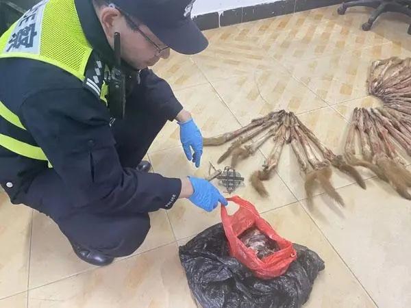重口味！上海一男子捕食33只黄鼠狼，被警方抓获