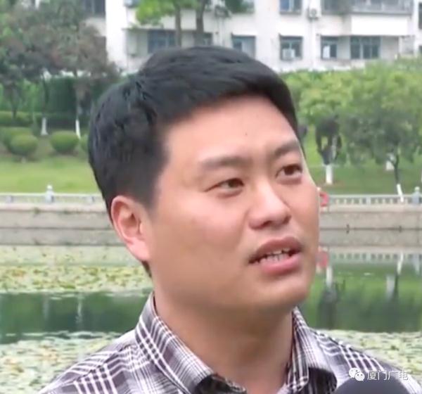 罕见！“全世界最小的鸭子”现身厦门！