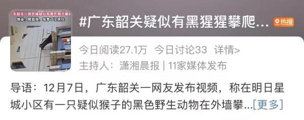 韶关有“黑猩猩”攀爬居民楼？确认了，是它！
