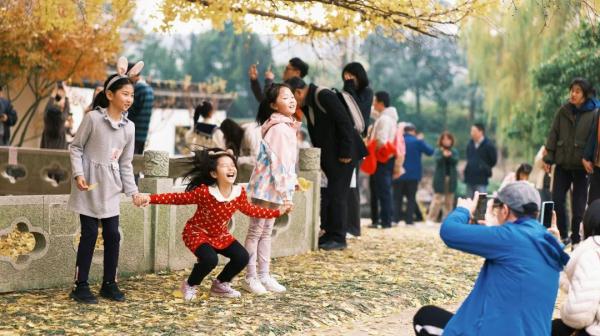 太坍台！他们竟对上海人的“老宝贝”出手了，园方紧急行动