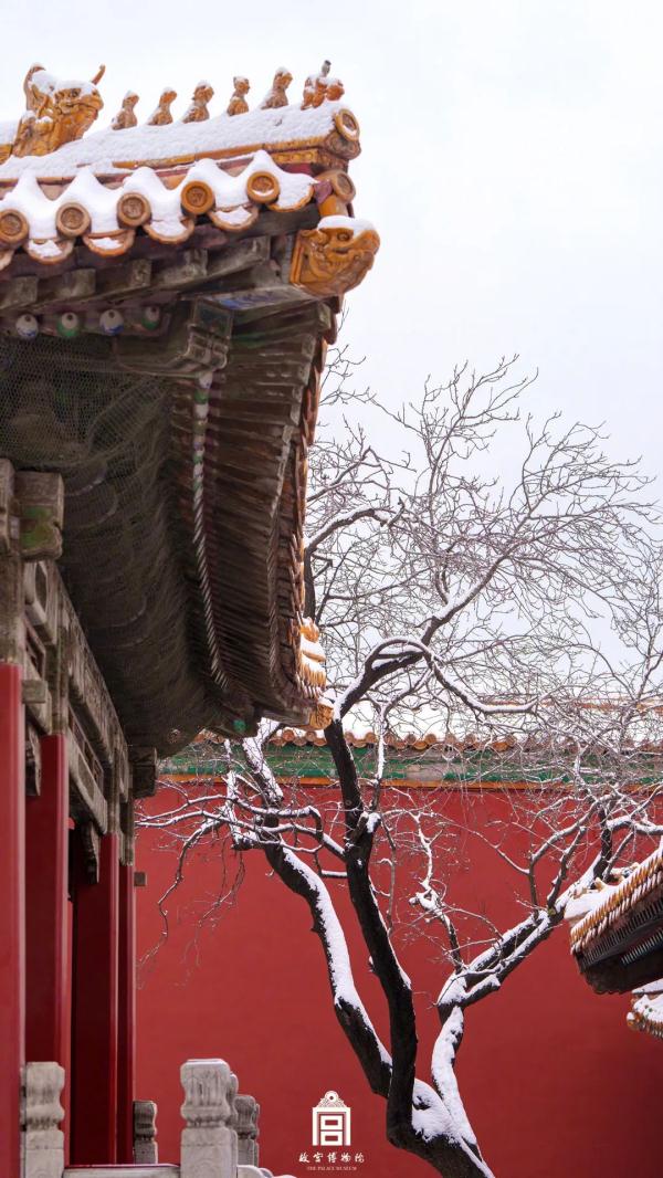 久等了！故宫雪景高清大图，来了