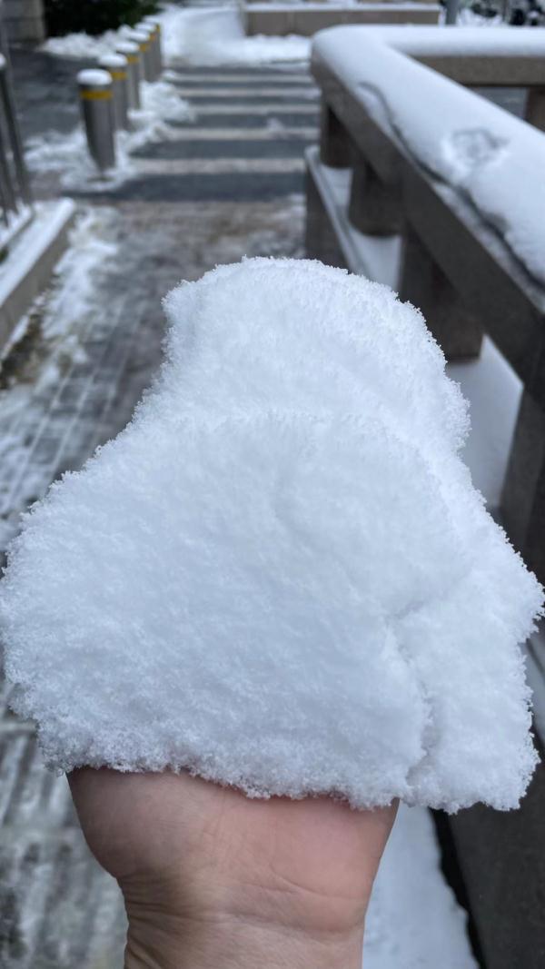 北京，下雪啦！