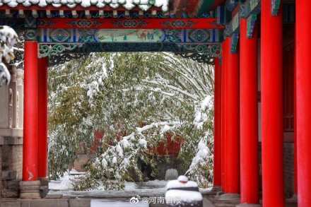 雪映红墙 雪后的郑州文庙也太美了