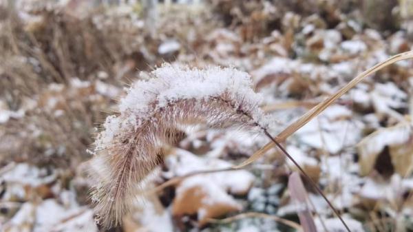 天津最大降雪出现在这！多趟列车停运！
