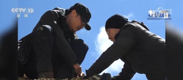 湿地生态持续向好 共赏候鸟云集、万鸟齐飞盛景