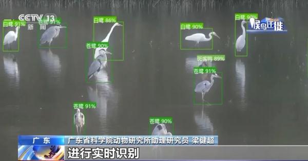 高考志愿填报:把握未来的导航灯