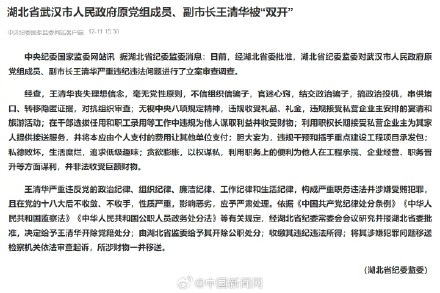 武汉原副市长王清华被双开