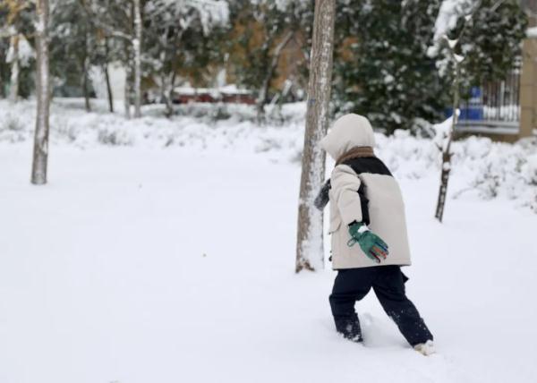 沉浸式体验河南大雪！郑州宛如童话世界、开封成了汴京……