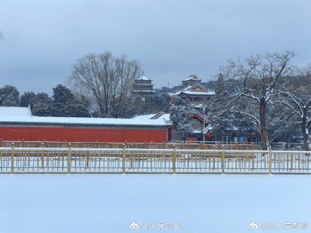 下雪天随手一拍就是风景 下雪天随手一拍就是风景