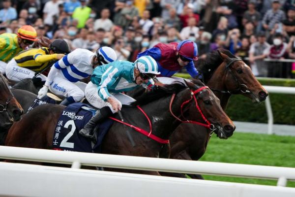 香港国际赛马沙田开跑 入场人数创5年新高