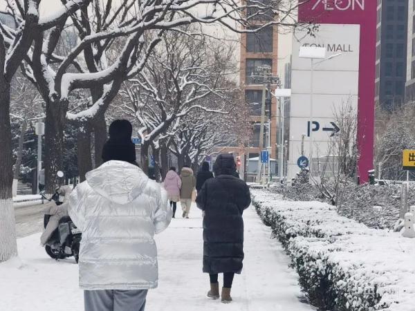一大波雪景美图来袭 你的城市下雪了吗? 一大波雪景美图来袭 你的城市下雪了吗?