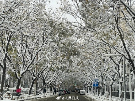 下雪天随手一拍就是风景 下雪天随手一拍就是风景