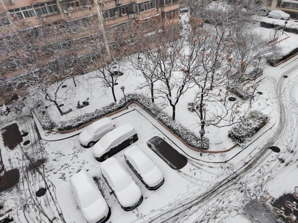 一大波雪景美图来袭 你的城市下雪了吗? 一大波雪景美图来袭 你的城市下雪了吗?