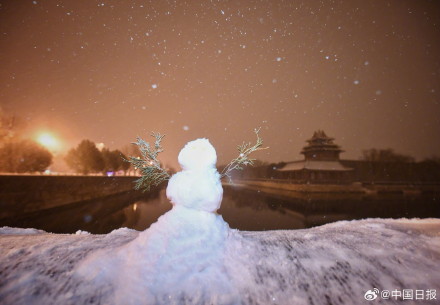 初雪下的故宫雪景