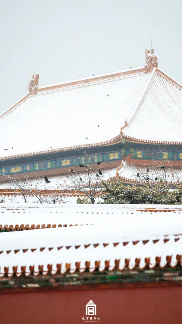 久等了！故宫雪景高清大图，来了