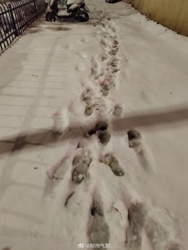 暴雪来袭！多地停课、停运、错峰上下班，出行别囧在途中