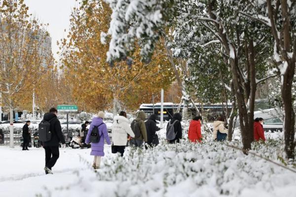 沉浸式体验河南大雪！郑州宛如童话世界、开封成了汴京……