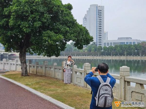 南宁这棵“最孤美的树”火了！