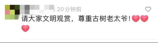 太坍台！他们竟对上海人的“老宝贝”出手了，园方紧急行动