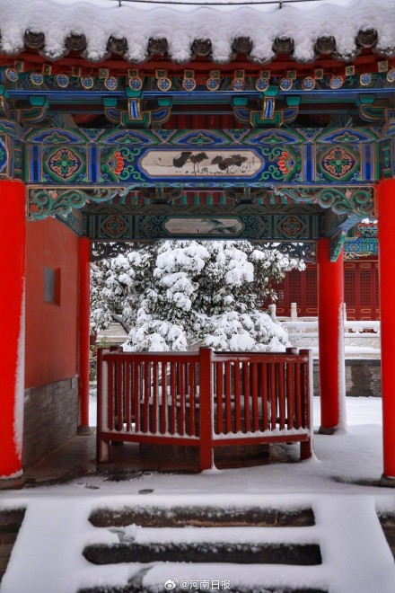 雪映红墙 雪后的郑州文庙也太美了