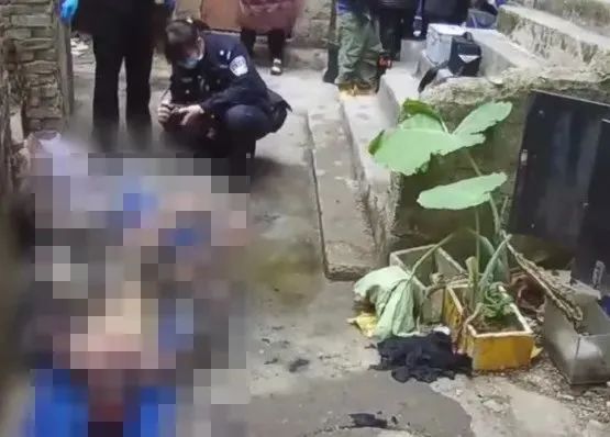 冷冷冷！暴雪蓝色预警！