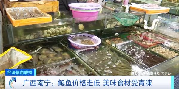 大降价！这种美味生意火爆，5元起